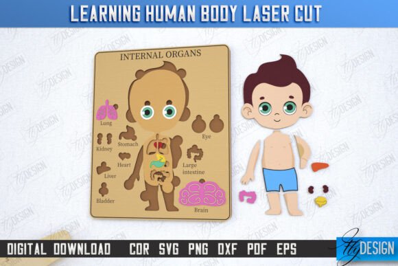 Human Body Laser Cut Boy CNC: A Practical Resource for Educational Laser Projects