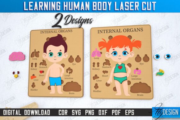Learning Human Body Laser Cut Bundle: A Creator’s Guide to Avoiding Common Pitfalls