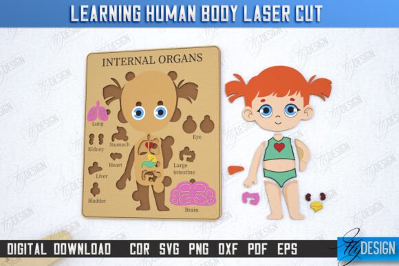 Unlocking Creativity and Education with the Learning Human Body Laser Cut Girl CNC File